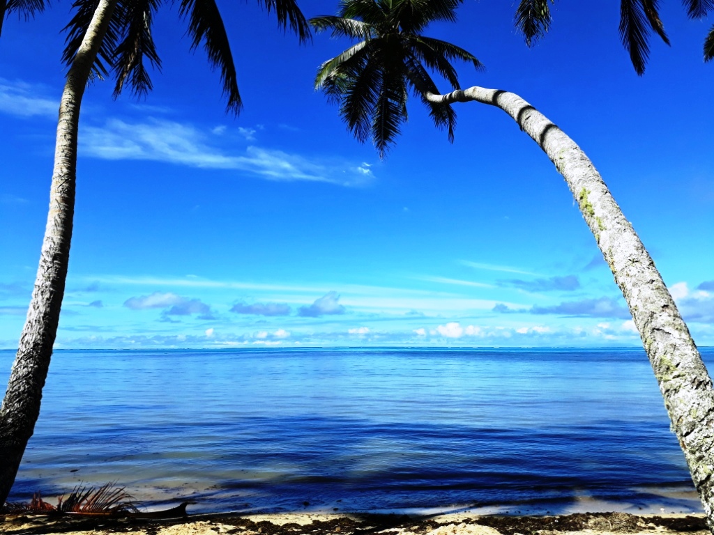 Savusavu Fiji Beach Houses